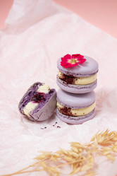 Similar image 21493658