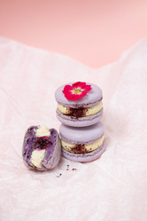 Similar image 21493629