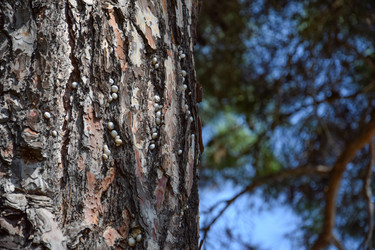 Similar image 21495102