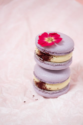 Similar image 21493690