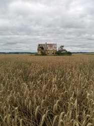 Similar image 21498350