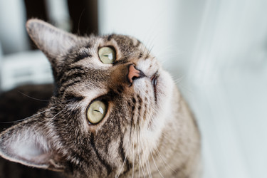 Similar image 21494243