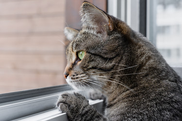 Similar image 21494244