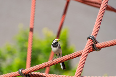 Similar image 21494247