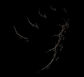 Similar image 21502214