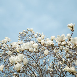 Similar image 21493693