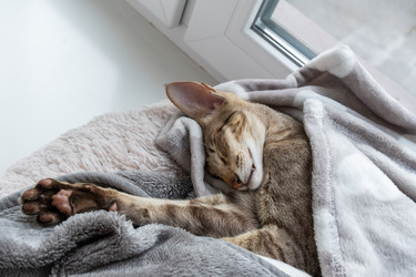 Similar image 21493694