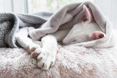 Similar image 21493697