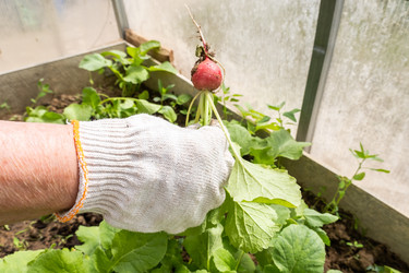 Similar image 21493698