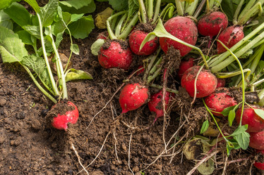 Similar image 21493699