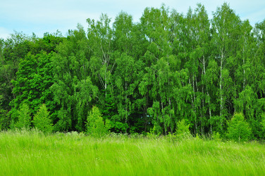 Similar image 21494008