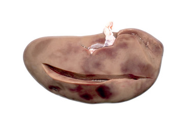 Similar image 21494068