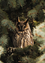 Similar image 21494217