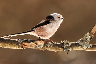 Similar image 21494218