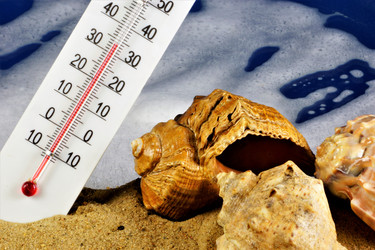 Similar image 21494136