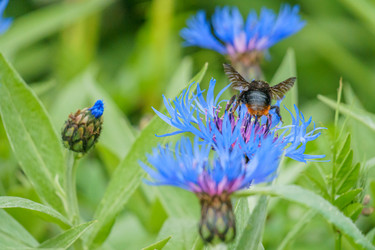 Similar image 21494272