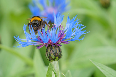 Similar image 21494273