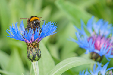 Similar image 21494276