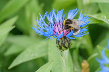 Similar image 21494278