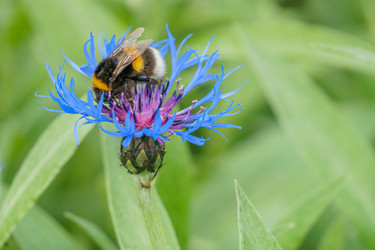 Similar image 21494279