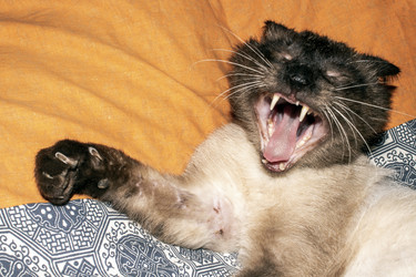 Similar image 21494283