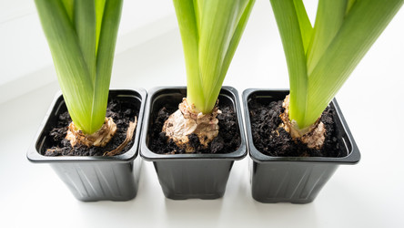 Similar image 21497461