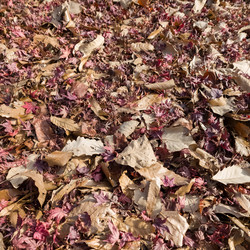 Similar image 21497462