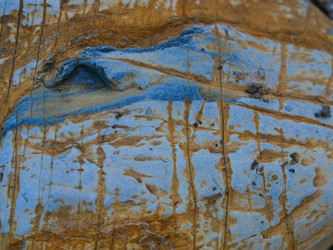 Similar image 21494583