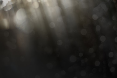 Similar image 21494296