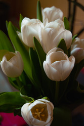 Similar image 21494927