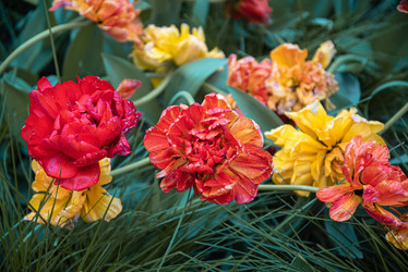 Similar image 21494234