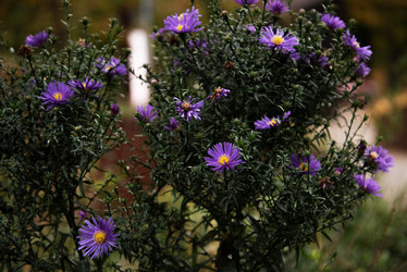 Similar image 21494597