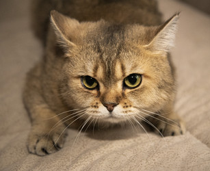 Similar image 21494600