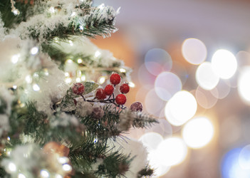 Similar image 21494603