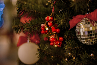 Similar image 21494604