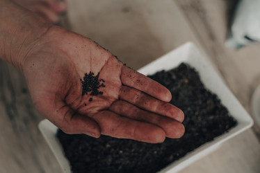 Similar image 21494648