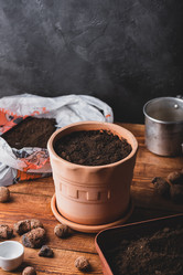 Similar image 21494658