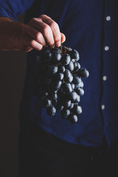 Similar image 21494661