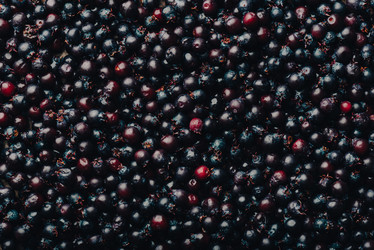 Similar image 21494352