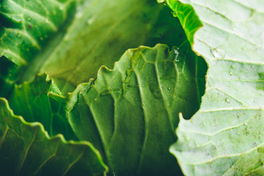 Similar image 21494355