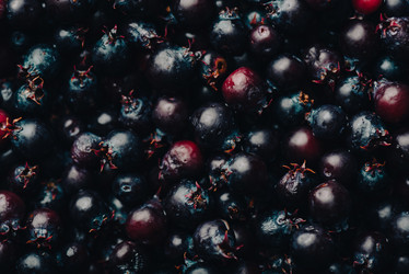 Similar image 21494356