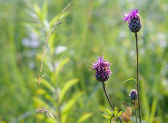 Similar image 21497698