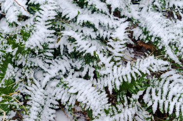 Similar image 21497700