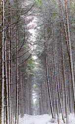 Similar image 21497702