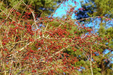 Similar image 21497704