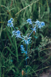 Similar image 21494749