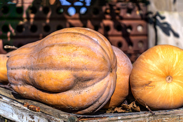 Similar image 21494968