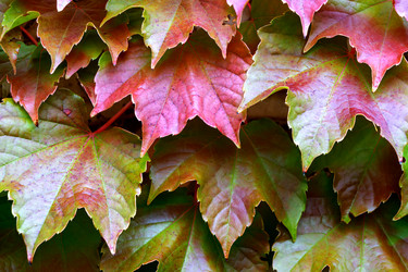 Similar image 21494969