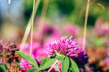 Similar image 21494824