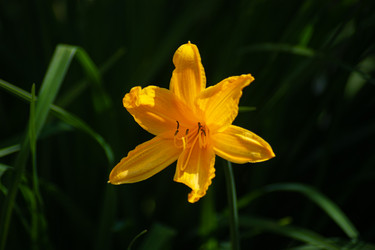 Similar image 21497267